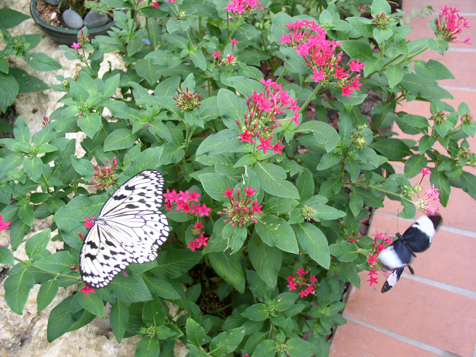 photo1
